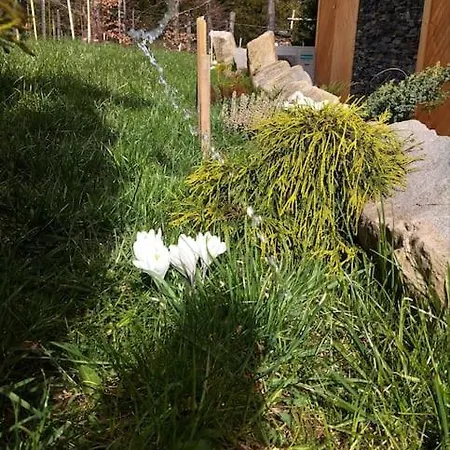 Tatra Homes Z Jacuzzi Kościelisko