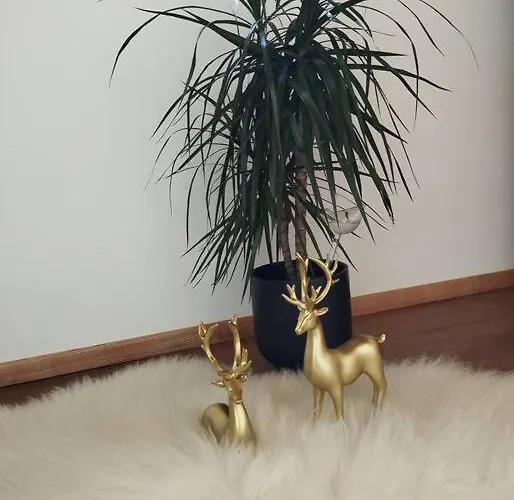 Tatra Homes Z Jacuzzi Casa vacanze