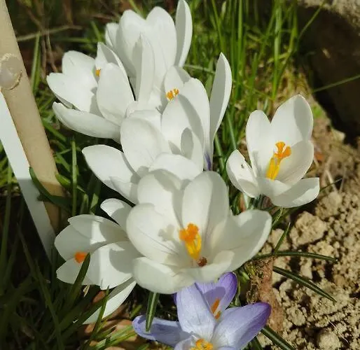 Casa vacanze Tatra Homes Z Jacuzzi